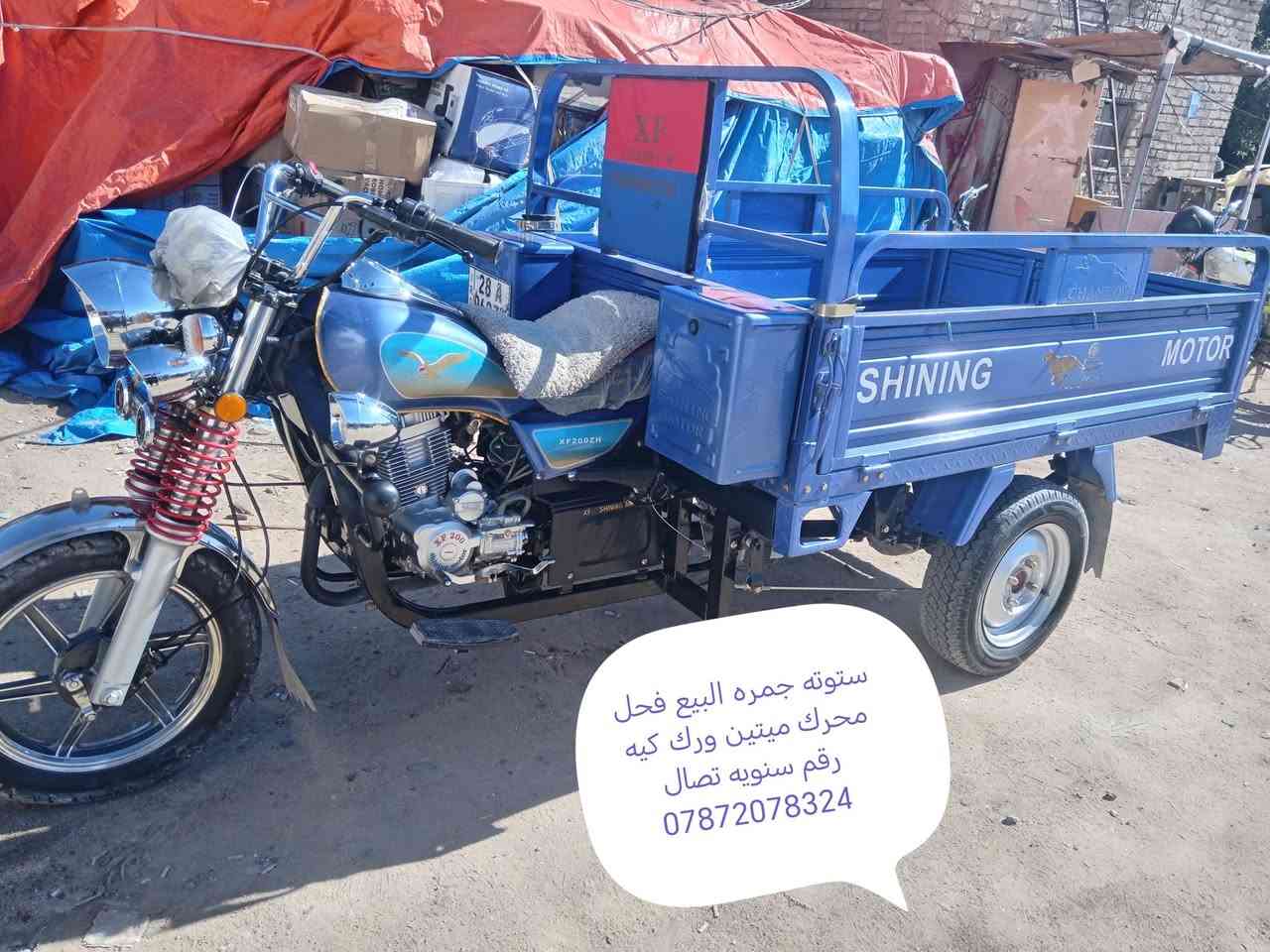 ستوته جمره البيع فحل رقم ***********
