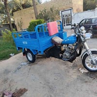 ستوته MTR • موديل 2023 • أوراق أصولي