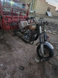 ستوته • بدون اوراق • مكفوله عشاير