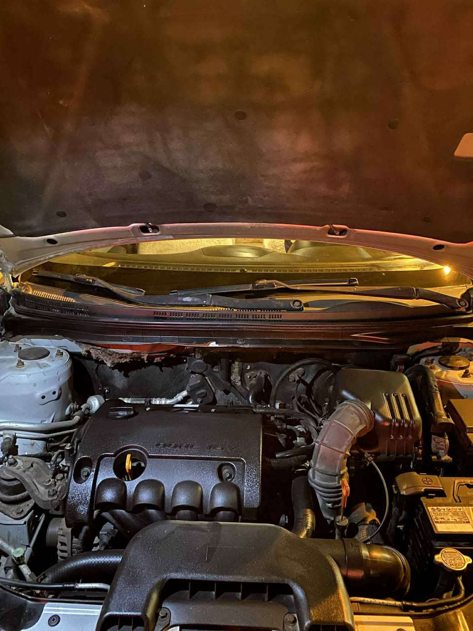 ئەڤانتی
2010 
بڕاوەی تازەداخیل 
ئیکۆ گیچ وەنەوشە ناولەیت ڕەش شاشە کامیرە سوکان ڤۆلیوم پشتو پیش حاسە پشت لیزەر تەبریت لەمس کوشن جڵدو هیتەر گێڕو مەکینە بەشەرت تەقەو ڕەقەی بەشەرت  
سەیارەکە نموونەی جوانیە لەڕسمەکان جوانترە
 
0776 683 9535 
ڤایبەرو وەتس ئەپی لەسەرە.
شوین ڕانیە.
