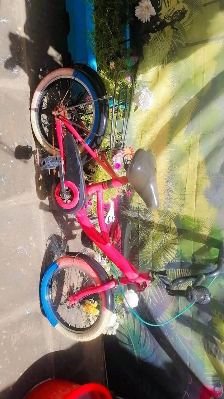 للبيع الواحد بـ 25

كلشي مابيهن نضيفات


**إذا كنت صاحب هذا الإعلان وتريد حذفه لأي سبب، رجاءا أرسل رسالة إلى الدعم الفني**