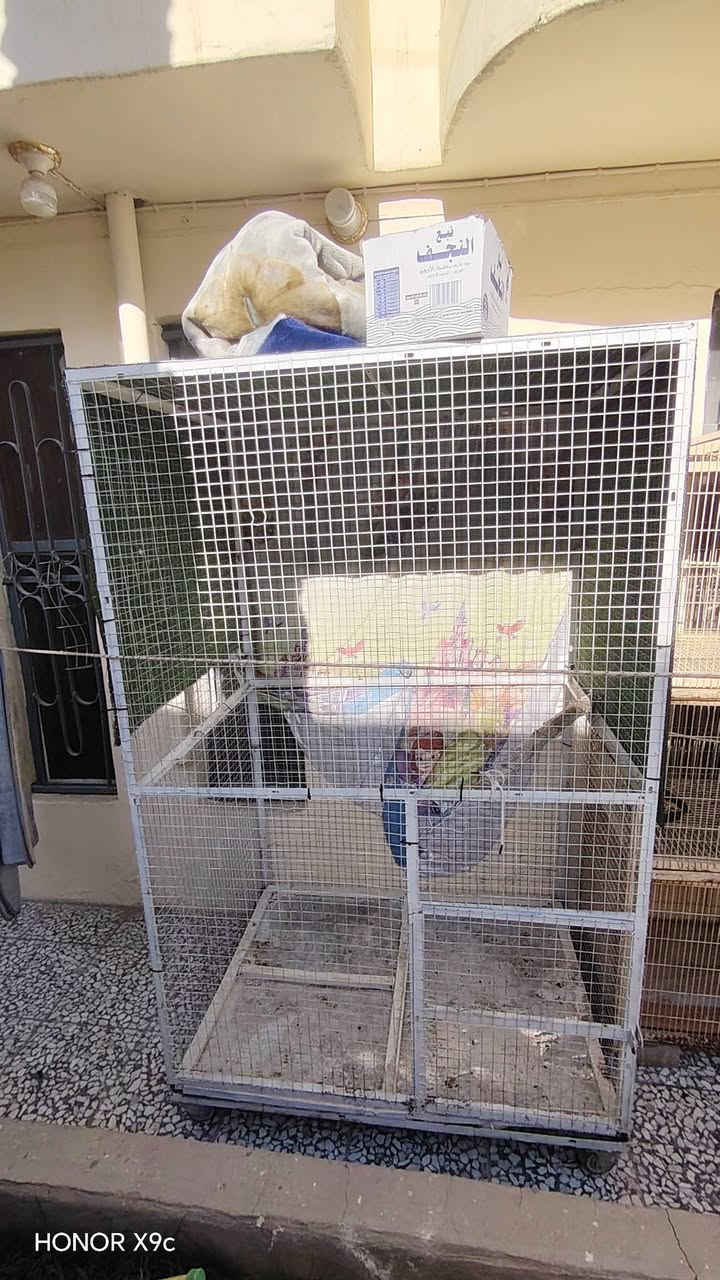 قفص حديد مستعمل سعره ب150 الف ارتفاعه مترين وعرضه متر ونص ونزال متره ونص


**إذا كنت صاحب هذا الإعلان وتريد حذفه لأي سبب، رجاءا أرسل رسالة إلى الدعم الفني**