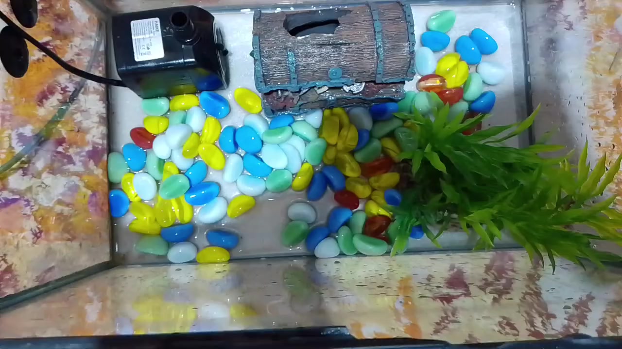 سلام عليكم حوض اسماك كامل ملحقات طول 35 العرض 20 بدون اسماك سعر ب 15 وبي مجال مكاني البصره حي الحسين / واتساب ***********
