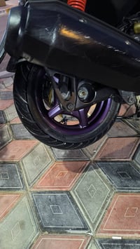 سكنس جبلي • مكفول • بنفسجي