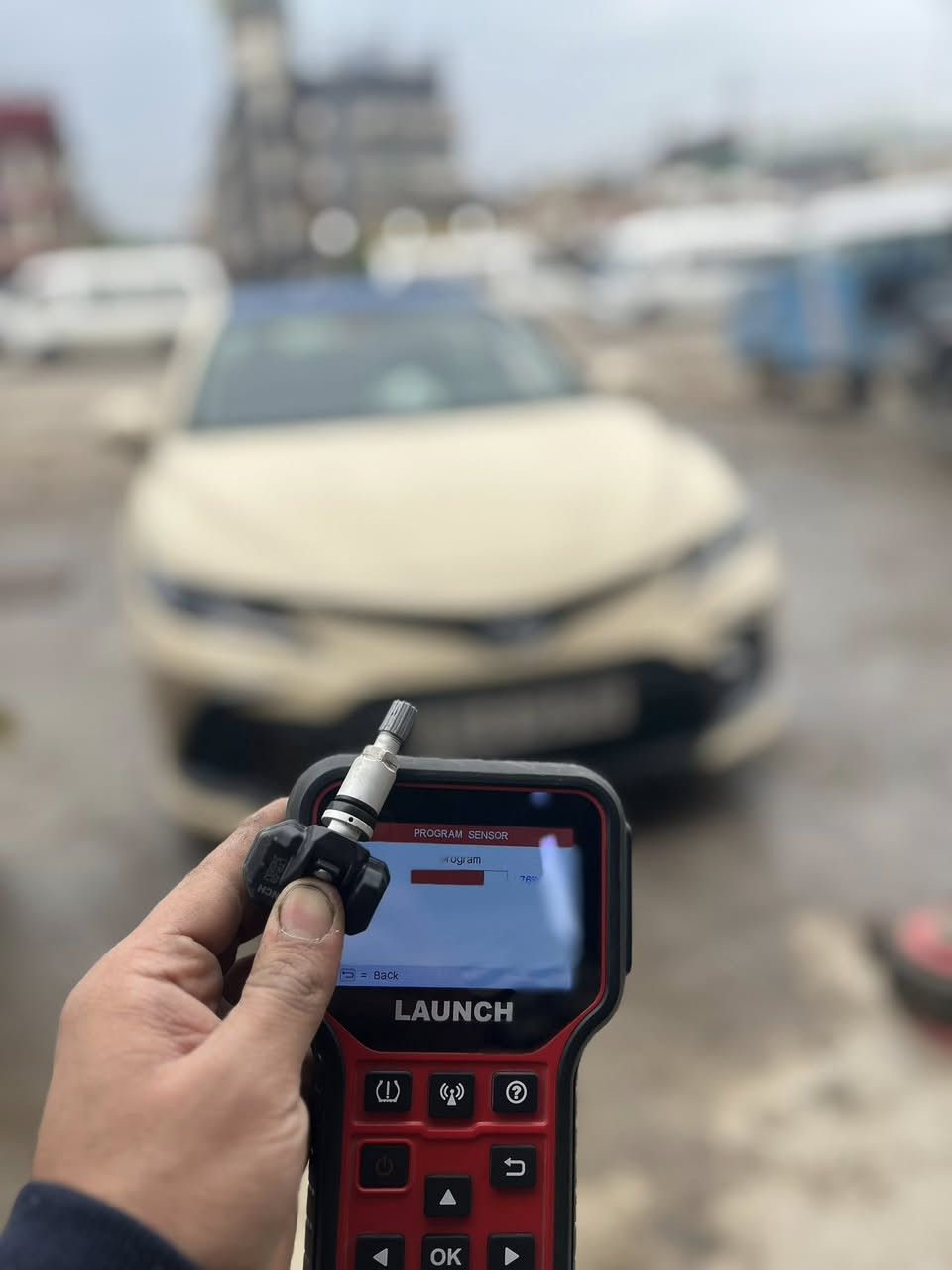 � برمجة حساسـات الإطارات (TPMS)🛞🛞

 •برمجة باستخدام جهاز Launch الأصلي
         
 •متوفر حساسات وكالة / جودة عالية✅

 •حل مشاكل اضاءة حساس الإطارات والقراءات الخاطئة⚠️‼️

         ✅ضمان سنة استبدال على الحساس 💯

🎁 خصم خاص عند برمجة أكثر من حساس

  متوفر حساسات والبرمجة في محلات الهدئ

 العنوان : بغداد الدورة شارع المصافي مقابيل مطعم ليمونة 📍📍

  للاستفسار مراسلة الصفحة 
 او الاتصال : *********** محمد للبرمجة
