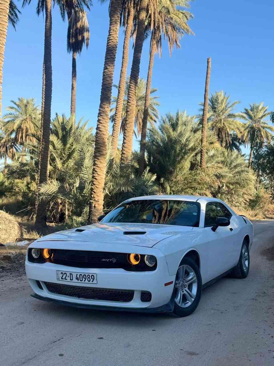 اخوان السلام عليكم

للبيع فقط بيع جالنجر موديل ٢٠١٦

محرك ٣٦٠٠ كير مكينه كفاله

حداديه اماميه هلفي جديد

ماشيه ١٢٠الف

السياره جاملغ جهت سايق ولبنيد مبدلات نفس الون اصلي وكاله يعني السياره حاليا بدون صبغ

وبيها بارد كد شبر جهت الصدر بلجاملغ الامامي

والشوااصي كفاااااله من الطخه شرط فقط لغد جهت السايق بي تعمير فقط بدايته

والسياره جاهزززه من كلشي وبالعافيه ع ياخذها

سعرها١٣٥ بي مجال بسيط لحد يكسر بلسعر رجاء

وصور الحادث بلمنشور ومكاني بلديوانيه

للاتصال ***********
