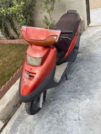 دراجة فراشة • مكفولة • بدون أوراق