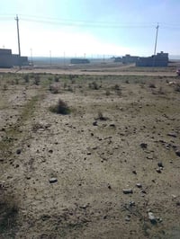 نص قطعة • ١٥٠م • قرب سيطرة الشام