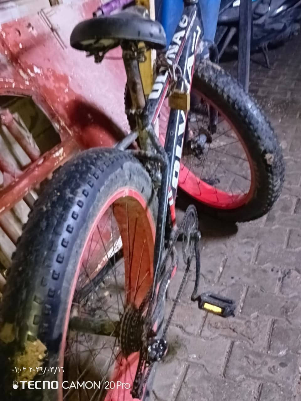 سلام عليكم مكلف بل نشر بايسكل دبابه
6نمر شغالات بريك خليفي امامي شغالات خاص مامتواجد هاذا رقم صاحب البايسكل*********** سعر 100
