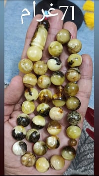 كهرب • حر طبيعي • وزن بالصور