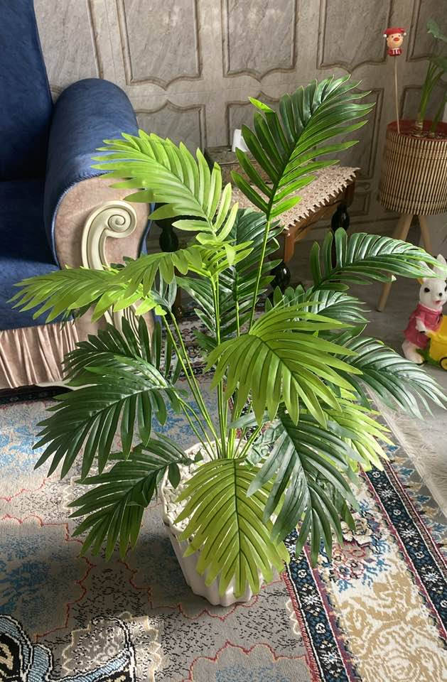 اشجار السايكس يتوفر خدمه توصيل 🚚


**إذا كنت صاحب هذا الإعلان وتريد حذفه لأي سبب، رجاءا أرسل رسالة إلى الدعم الفني**