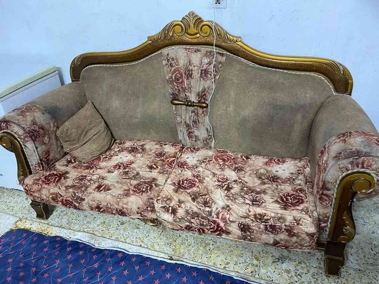 السلام عليكم تخم ٢ صغار و ٢ كبار للبيع السعر 150 وبي مجال المكان الشعب ***********
