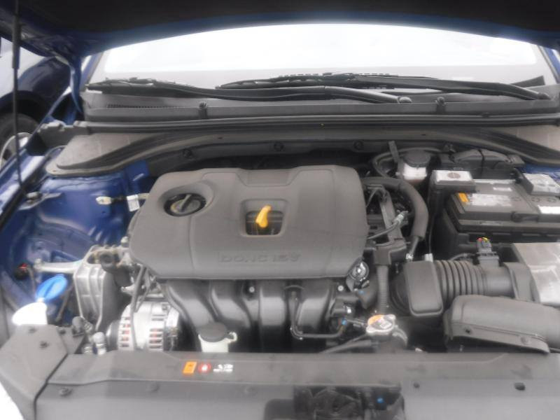 السلام عليكم للبيع النترا 2020 ورد امريكي معوقين بعد لها ثلاثه اشهر تصير حره راعيها موجود بيها خمس قطع ***********. السعر 120وبيه مجال
