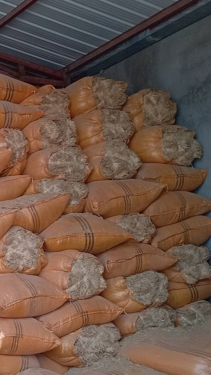 تبن للبيع درجه اولئ الحجم الكبير طول ١٢٥ العرض ٩٠ المكان سوك الشيوخ طريق العكيكه سعر الشليف ٦٥٠٠
*********** واتساب
