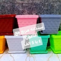 ام رقية • اكسسوارات نباتات • توصيل العراق