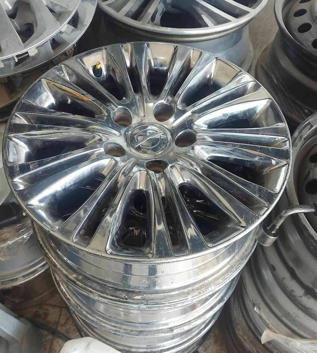 للبيع حجم 17 صافيات جدا جدا لا عواج ولا تصيح شرط بيهن شويه شخوط سعر 250 مكاني السماوه قضاء الرميثه ***********
