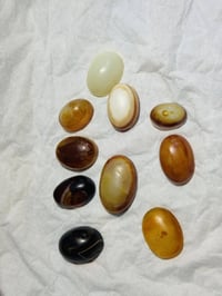 ١٠ قطع • مع التوصيل