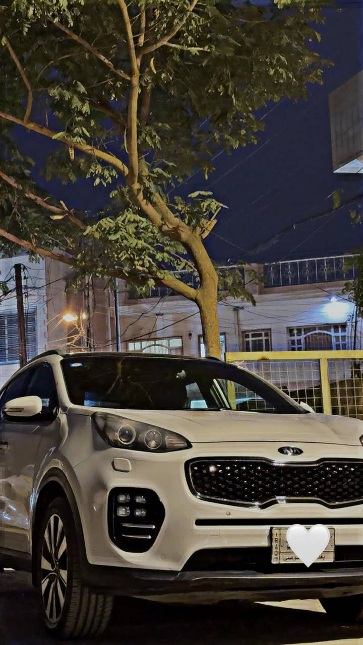 سلام عليكم
Sportage 2018
محرك:2000دوش
السيارة الفول مواصفات 
بجم الجيتي لاين
بانوراما
كراسي ثنين كهرباء
سايد بريك كهرباء
اوتو هولد
نزول منحدرات
صندوك كهرباء 
حساسات امامي وخلفي
ماشية:91,000
لسيارة خير من الله تبريد ثلج كير مكينة كفالة عامة
بيها ملاحضات بسيطة 
ربع بابيبان العكس السايق مسافة  الضلع السفلي
مرجع بارد وبدون صبغ فقط بارد
باب السائق تبدل لسبب كان ابو تكتك وسرعتهم العالية
وجاملغ السائق بي صبغ خفيف جداً
وباقي السيارة خير من الله مكفول محرك كير تبريد ثلج 
الي ميحسسك بصيف بغداد 
السعر:184


**إذا كنت صاحب هذا الإعلان وتريد حذفه لأي سبب، رجاءا أرسل رسالة إلى الدعم الفني**