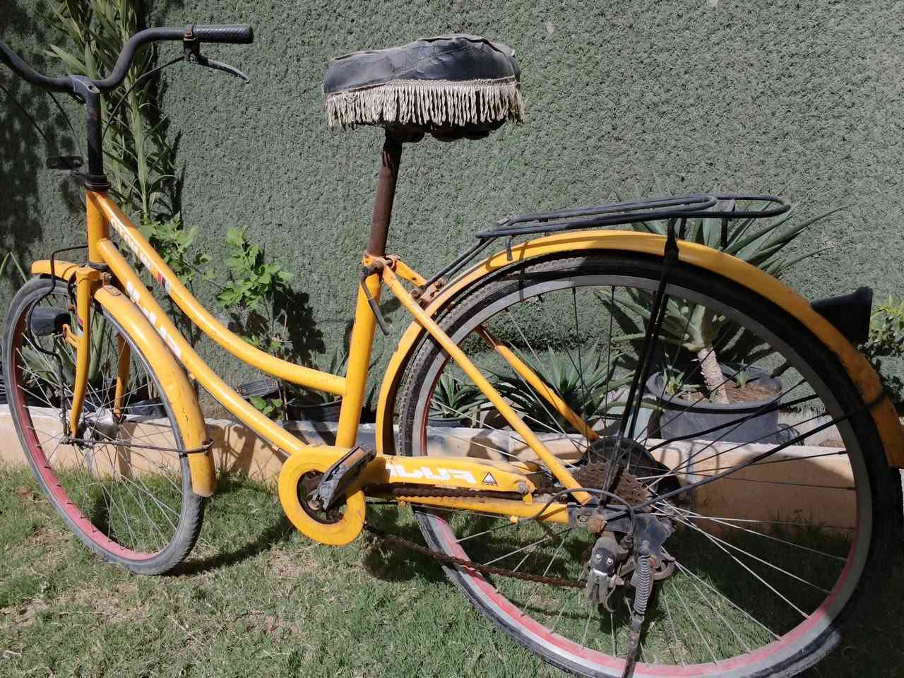 السلام عليكم باسكل بناتي للبيع
*********** واتساب فقط
