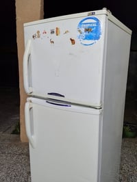 كونكورد لبناني • مستعمل • كبير 20/22