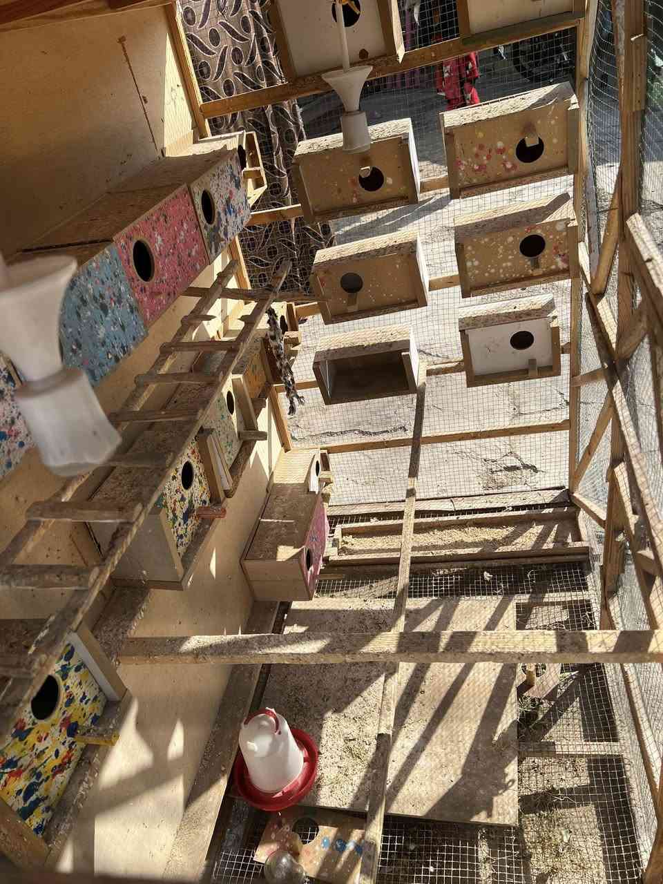 السلام عليكم قفص للبيع حيل حلو  بيا24 بيت وبيا  سله تنسحب من جوه مال تنضيف سعر45الف وبيا مجال مال مستعجل الشراي يتصل ***********
