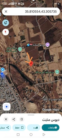 القيارة • ٨٠٠م • واجهة ٢٤م