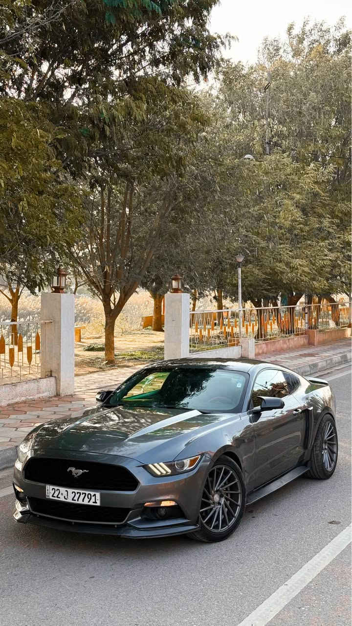 سلام وعليكم
فورد موستنك 2016 لون نفطي لامع *
الفئة V6 ( ستة سلندر) فول مواصفات 

رقم اربيل سنوية جديدة بأسمي .. 
للبيع او مراوسة حسب القناعة ..

ماشية ٧٥ الف
السيارة جديدة كاملة وبدون نقص ( تايرات جدد )
عليهه برمجة وطلقات سيفتي
وعليهه صالنصة HT power واكس بايب وداون بايب محرك وكير واكسل بشرط

مواصفات :
بلاجكتور بلاد
كشن كهرباء
فول تحكمات ستيرن
كامره دوارة
تشغيل عن بعد شفتات ستيرن

اضافات :
بك لايت ٢٠٢٣ سموك
ويالة فوزن
لحية سيرفيني
دعامية خلفية جيتي
سبايدر
سكوبات جانبية
دوسات جيتي
• دفيوزر

السيارة حادثهه بأمريكا خفيفة بدون دواخل و شواصي
وهنا بالعراق مصبوغة خمس قطع اثر شخوط اني ابيعه حزام بدون دواخل ..

مكان السيارة ديالى / خانقين
سعرهه ١٣٤ وبي مجال بسيط ..
للاستفسار   *********** خناقين, ديالى
