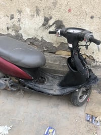 عصفوري • ستوته • شغاله