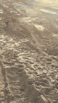 #تقسيم_نموذجي 

ارض _ زراعيه _ للبيع 

جنس الأرض // زراعي سند 25 

المساحه // 500 متر _ 1000متر حسب الطلب 

وجه مساحه 1000متر // 30متر في 32 متر 

سكني // مزارع ترفيهيه نموذجيه تصلح 

الأستفسار الأتصال 
***********

#الدار_المعموره_للعقار 

ملاحظه //من لديه عقار ويرغب بالبيع مراسلت الصفحه او الاتصال
