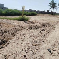 طابوزراعي • دونم ونصف • سند 25