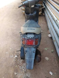 منغولي • نضيفه • سلف