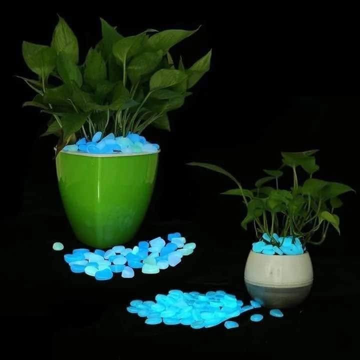 كلشي وكلاشي الخالدي  
حجر مولون ضوئي  ...........
#نتميز_لنكون_خياركم_الأول 🌿
عروضنا لا تنتهي مستمرة  كل يوم شي جديد🕺
من حاجات منوعه 🥰
القصة تكمل بالتوفير 💪
 نختار لكم.الافضل. والأجمل  وبأنسب. الاسعار.🧡
@إشارة


**إذا كنت صاحب هذا الإعلان وتريد حذفه لأي سبب، رجاءا أرسل رسالة إلى الدعم الفني**