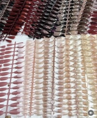 أظافر • توصيل بغداد