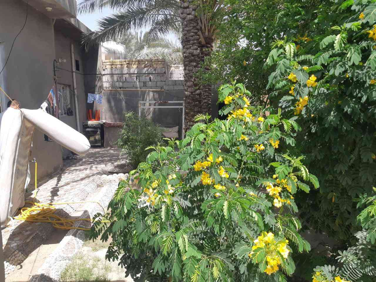 علان الدار البيع طابو زراعي سند 25 مداور بل طابو
المساحة 280 متر 
منطقة ابو شهاب 
يتكون من غرفتين او صاله او ستقبال او مطبخ او صحيات خارجيه او داخليه البيت درجة اوله  متعوب عليه  والجيران خير من الله الاستفسار الاتصال *********** او مراجعه مكتب الكرار قرب مطعم بابا غنوج فرع اليقضه
