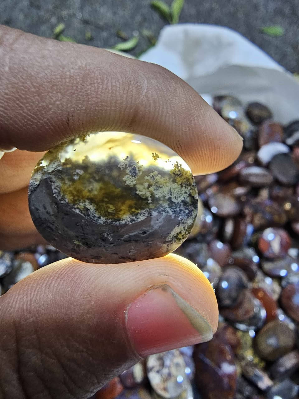 جميع انواع العقيق اليماني للبيع جمله وتجزئه وتوصيل بغداد, العراق


**إذا كنت صاحب هذا الإعلان وتريد حذفه لأي سبب، رجاءا أرسل رسالة إلى الدعم الفني**