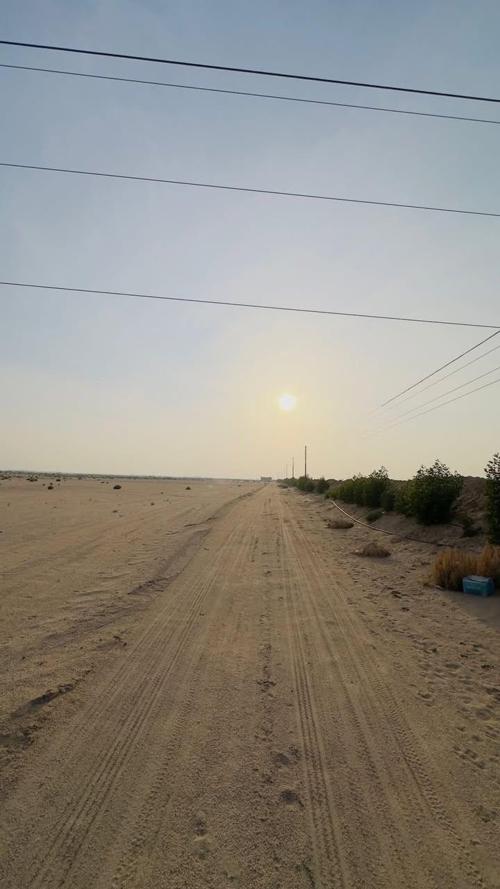 السلام عليكم
مزرعه للبيع 26دونم مسيجه بأشجار بيها بيت وكهرباء وطنيه وبير ارتواز عقدها قيد الانجاز عنوانها طريق الزبير نزلتها قرب معمل بلوك ديالى المزرعه تبعد 2 كيلو عن شارع الزبير السعر65 وبيها مجال

مكلف بالنشر انا

راعي المزرعه  ‭0770 670 7388‬
