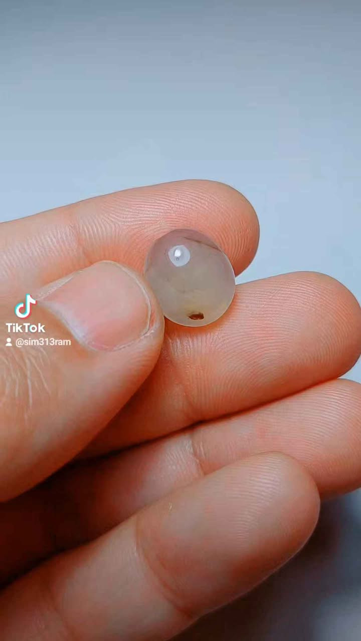 احجار ملاكط سعر القطعه ١٥ اذا مجموعه السعر اقل كربلاء, العراق


**إذا كنت صاحب هذا الإعلان وتريد حذفه لأي سبب، رجاءا أرسل رسالة إلى الدعم الفني**