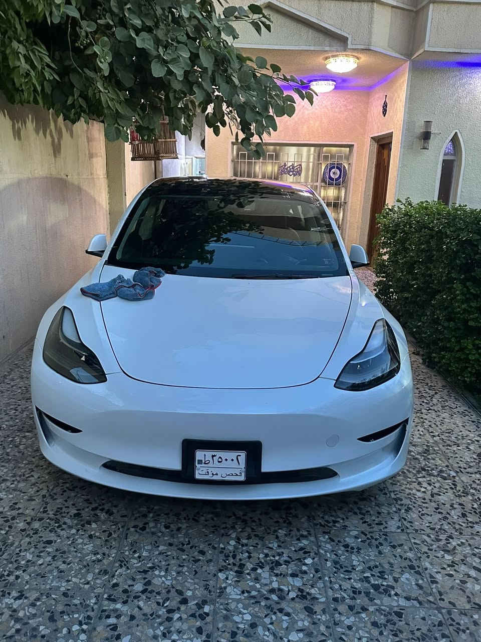 تيسلا مودل ٣ موديل ٢٠٢٣ ماشية ٢١ كيلو تك ماطور أوف لاين
صور الضرر موجوده بصور السياره مرقمة بغداد 🚘السياره يرادلها تعديلات بسيطة لعدم التفرغ السعر ١٤٧ بيها مجال بسيط
بغداد البلديات ***********
