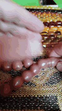 ياالله يارزاق تخفيض قطع اخيرة ألماني جراخة باكستان قديم عطاب عرگ أخضر بغداد الدورة الصحة لايوجد توصيل
 سعر ٣٠      ***********
