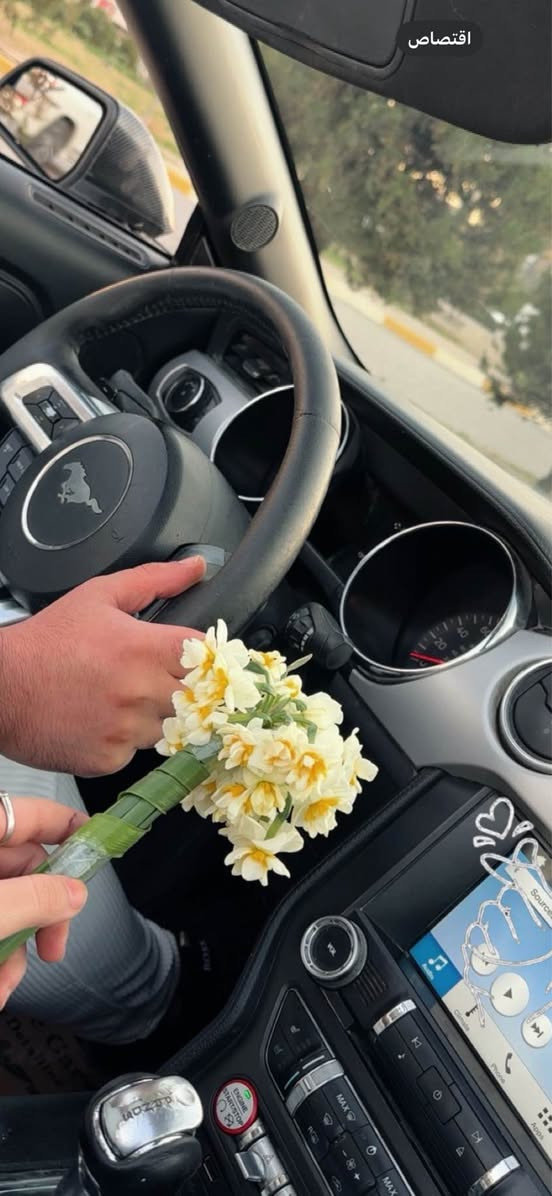 موستنك ٢٠١٦ فول مواصفات شاشه كبيره صقف كشف  كشنات جلد قطعتين و نص صبغ رقم سليمانيه وكاله بسمي سعر ١١٨  عليها ٩ ورقه غرامه تنزل من سعر مكاني اربيل للاستفسار اكثر *********** أربيل, العراق
