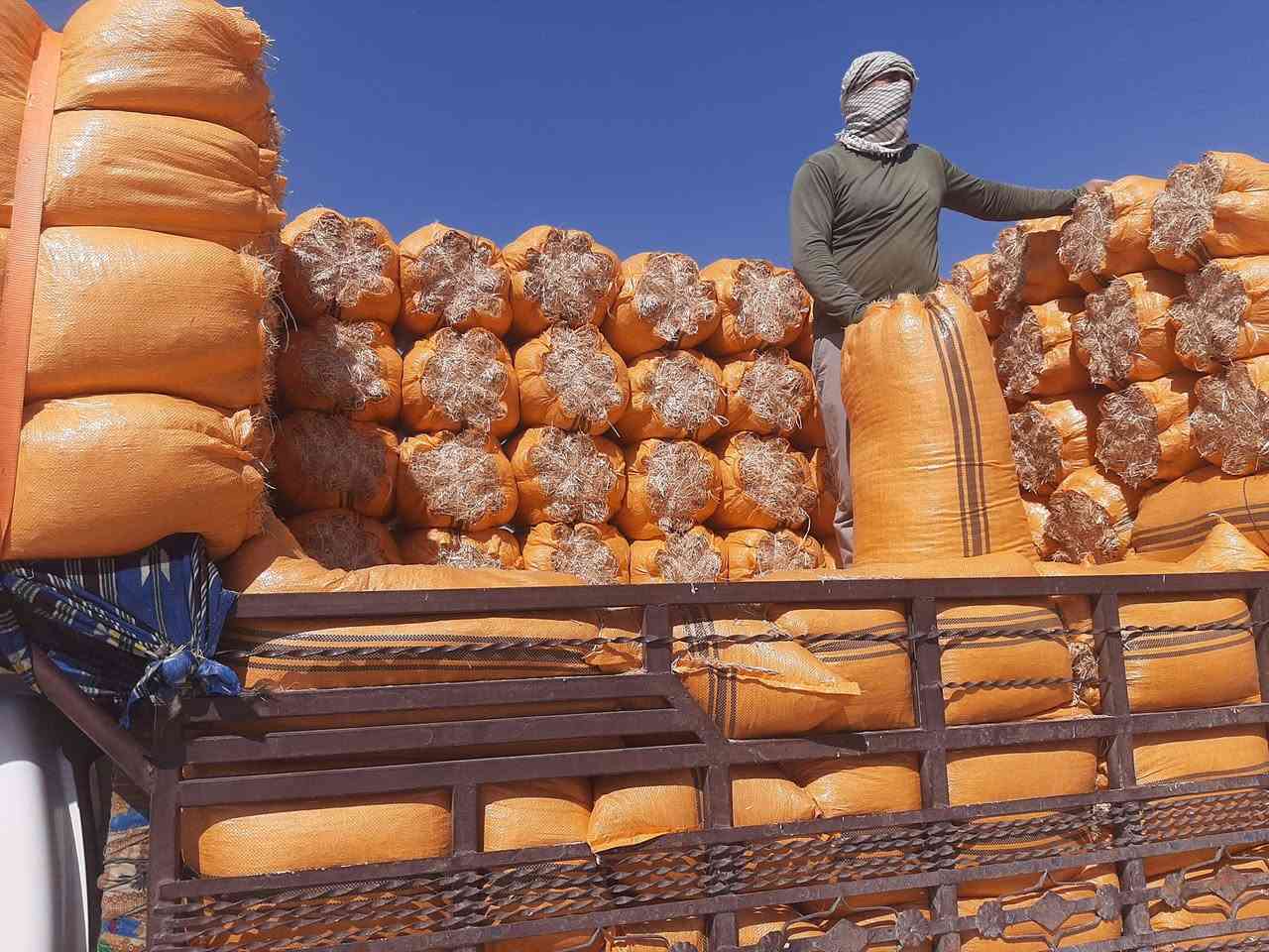 اليوم اليوم بانسب الاسعار ولفتره محدوده تخفيضات وبأنسب الاسعار
*********** او ***********
وتوصيل مجاني يوجد تبن
 نضيف + ابيض + الكبسه مال الكله 
مال الحاصوده الفوك + يوجد توصيل
 ديالى + بغداد + واسط الكوت
 بابل الحله + كربلاء + نجف
 ديوانيه + السماوه للاتصال والاستفسار
  متواجد واتساب وماسنجر
 وخطي *********** او ***********
