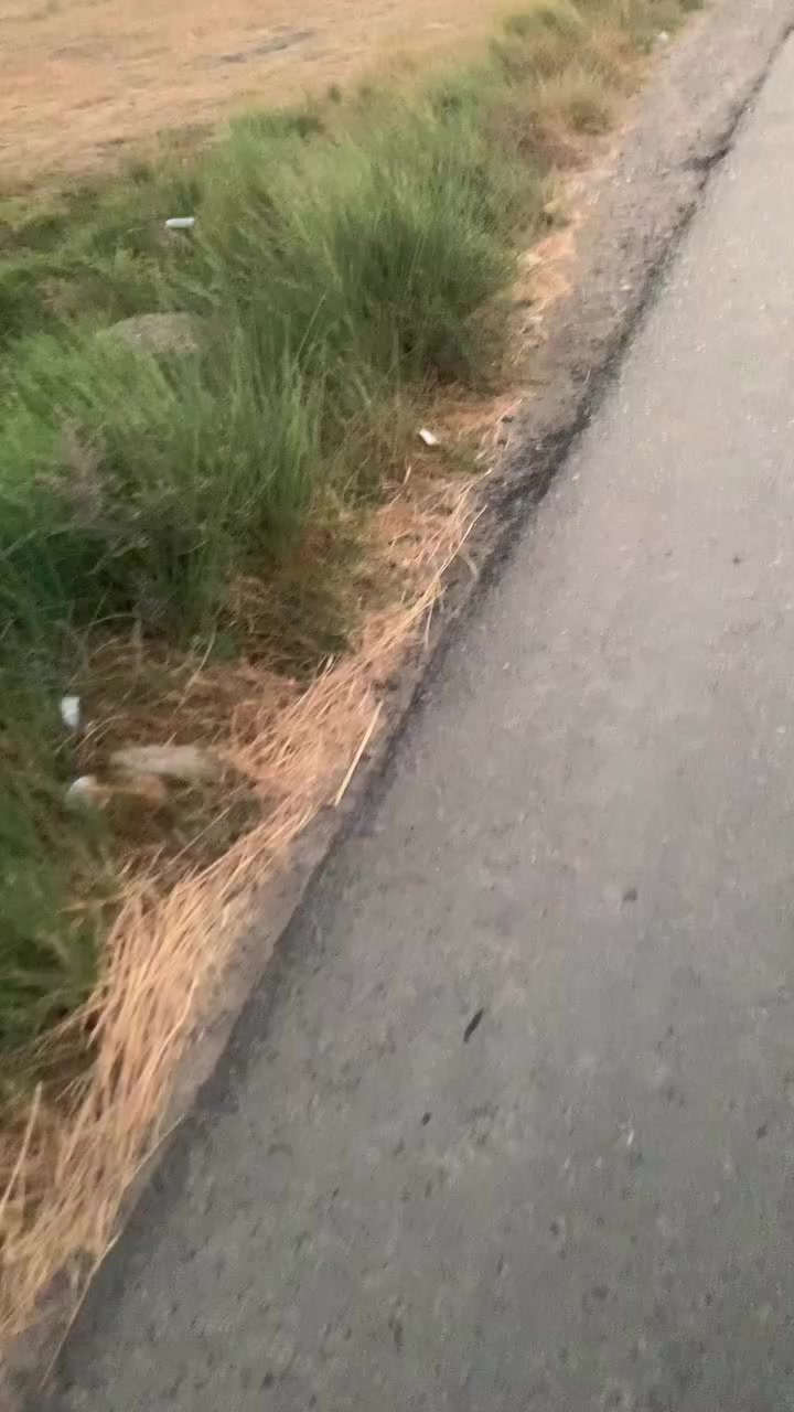 السلام عليكم نص دونم البيع او مراوس العنوان السلاميات شارع ابو زهير ***********
