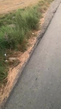 نص دونم البيع او مراوس العنوان السلاميات شارع ابو زهير 07721185450