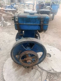 مولده لستر 8 8 احصان مولده جديدة معنه الكلمه الاستفسار عل رقم 07829447...