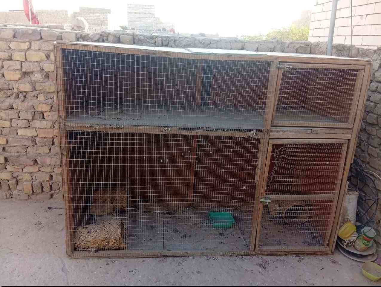 قفص للبيع الطول مترتين والعرض متر ونص


**إذا كنت صاحب هذا الإعلان وتريد حذفه لأي سبب، رجاءا أرسل رسالة إلى الدعم الفني**