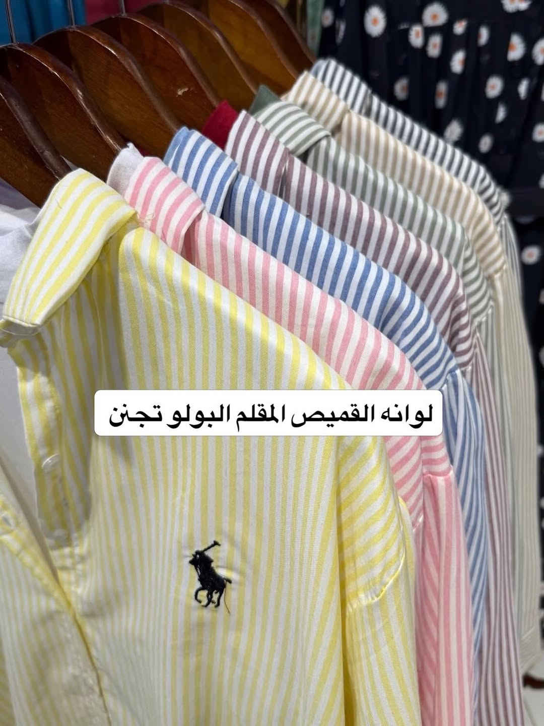 وصل القميص المقلم لوان تجنن ✨
اقوى عرض 3 قمصان بـ25 لاف ✅
القياسات من 38 لل46. 🔥
#بوستات


**إذا كنت صاحب هذا الإعلان وتريد حذفه لأي سبب، رجاءا أرسل رسالة إلى الدعم الفني**