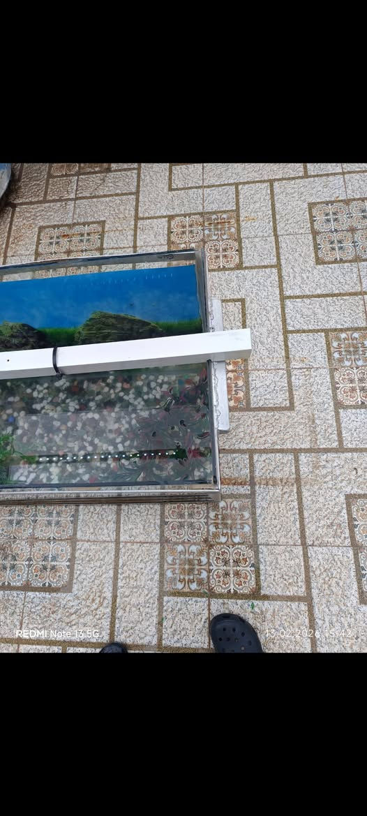 حوض سمك مع إطار من حديد حتى تقدر تشيله قياس ارتفاع 60 وطول 80 سم مع ملحقاته احجار وضوء وهيتر 50 ألف كركوك, العراق


**إذا كنت صاحب هذا الإعلان وتريد حذفه لأي سبب، رجاءا أرسل رسالة إلى الدعم الفني**