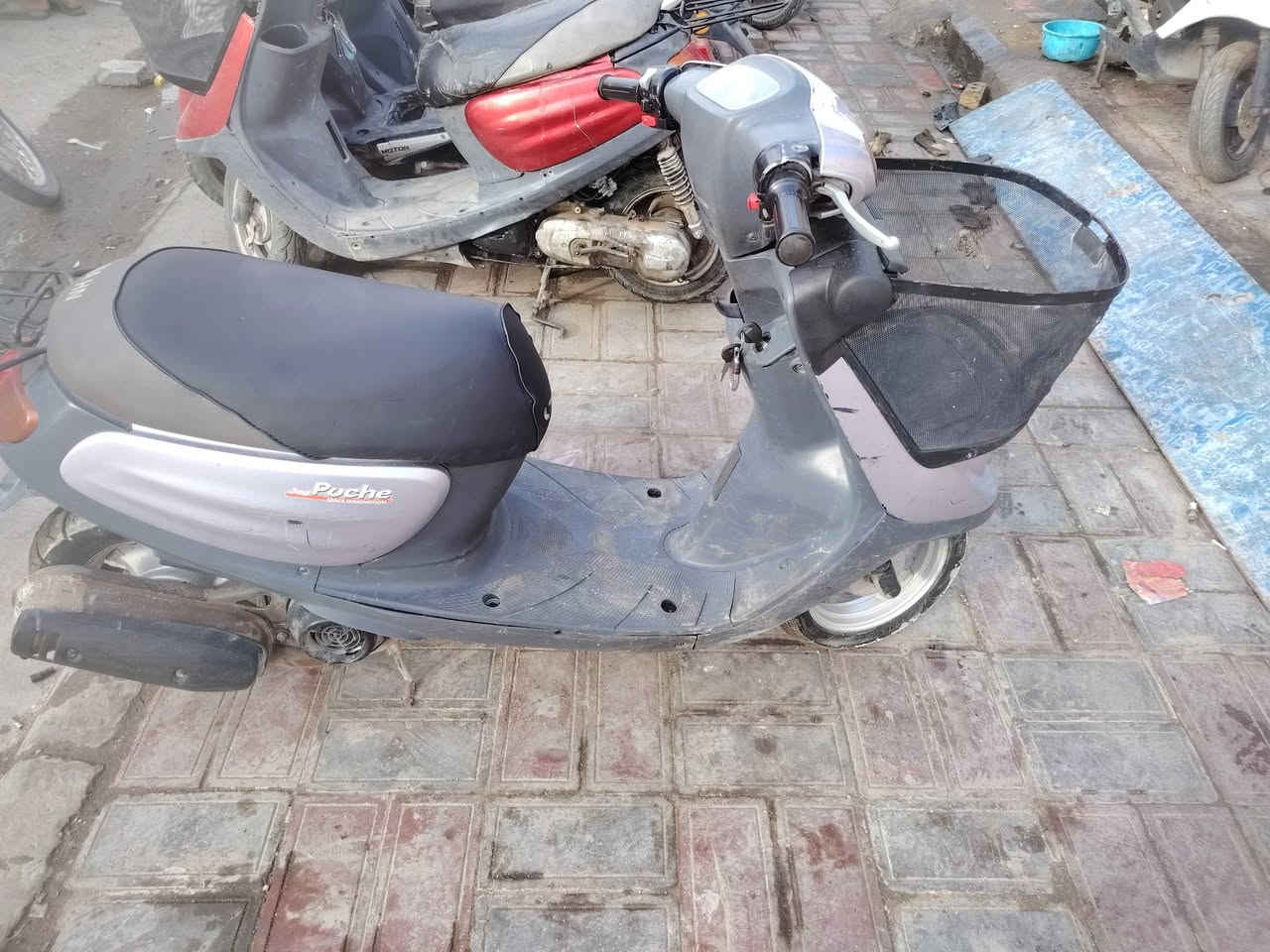 منغولي كامله كله شغال لا صوت كير ومكينه كلش ناعمه دراجه حيل نضيفه اشاير هورن سلف بكلايت كله كامله سعر ٣٢٥ وبيه مجال بصيط بس حيل نضيفه الدراجه مكاني كربلاء حي السلام رقم ***********
