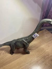 حيوانات اصلية • ديناصورات اصلية • مختومة