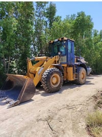 شفل صيني • ٢٠١٣ • بصره